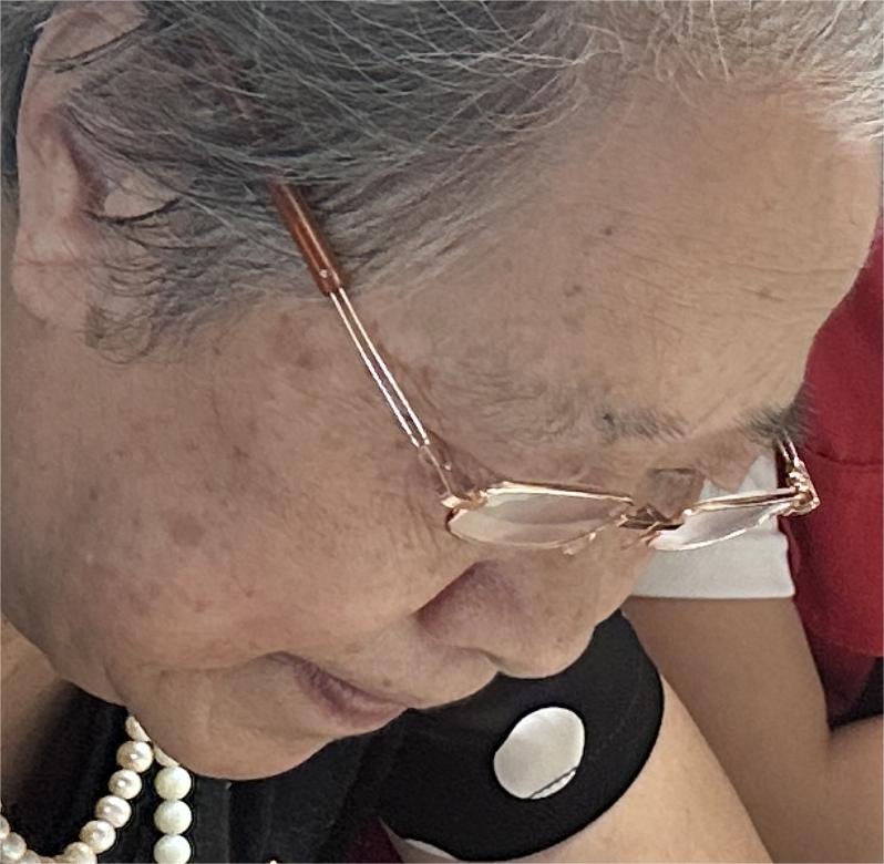 青老黨員話初心 薪火相傳擔(dān)使命  ——新老黨員對話活動