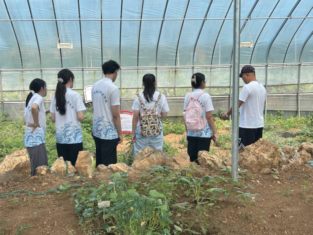 覽中草藥種植之圃，尋中醫(yī)藥賡續(xù)之根
