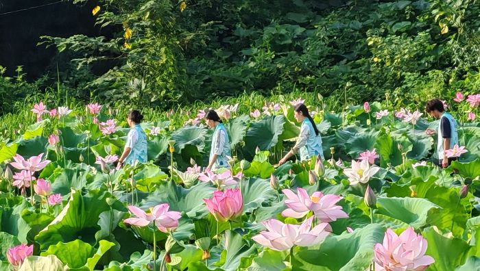 뮋 ഺR^䛷A״Wϵr`ɻ@Ĕzxlðlչ