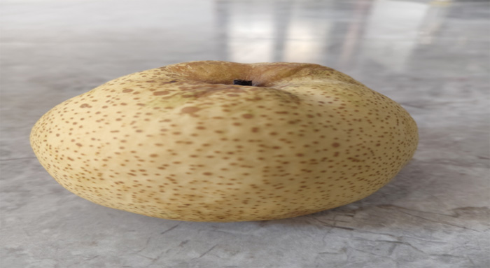 늚WӷlഺXɽh滨V