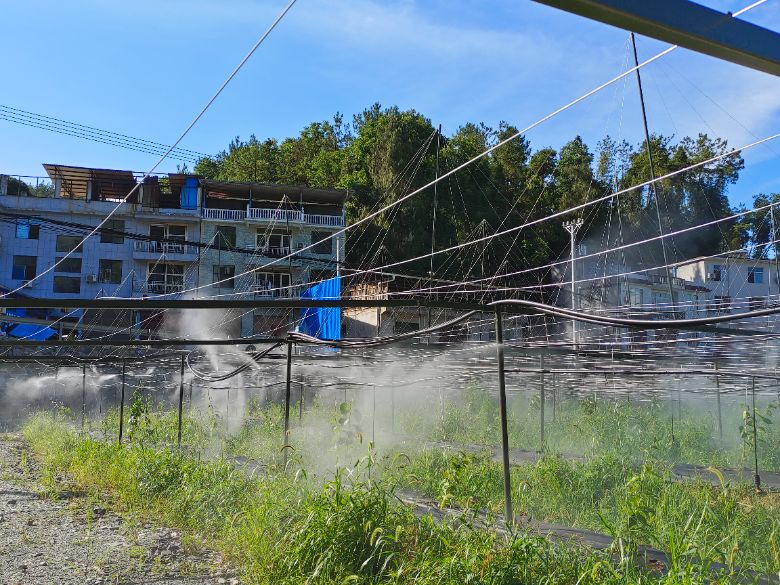 �rˎ���ʇ������J����ֲ���� ���ľ��z