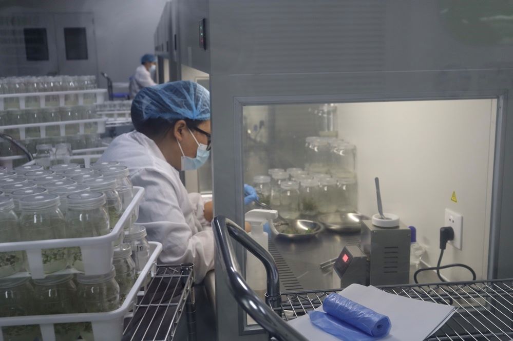 ����ˮ�l(xi��ng)�@�F(xi��n)��ֲ������S�� �f�o��׌�f��ס�M(j��n)�����ܹ�Ԣ��