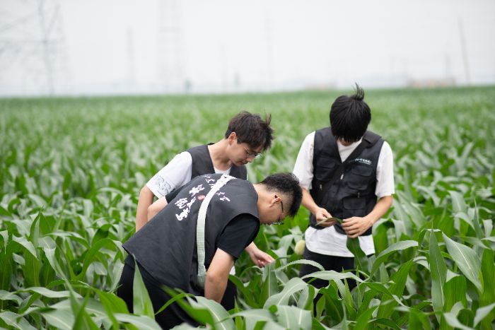 ƼS`F_չrNֲrͻAOʩğo˙CDɼ