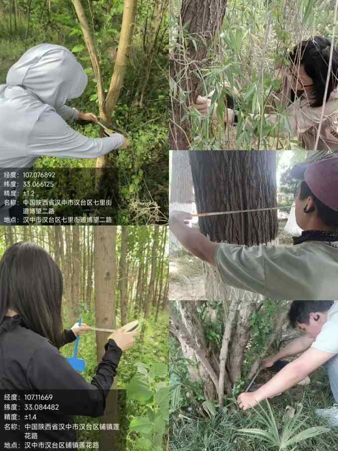 ذͲľ wɽػ