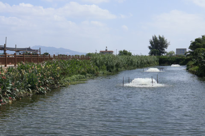 ��ˮ��������岨�L��ƪ