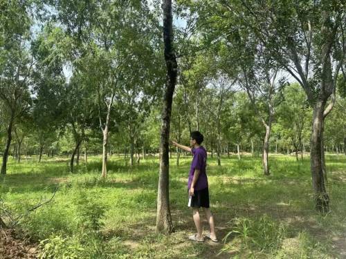 ɽ�|������W(xu��)�����L(f��ng)��������(sh��)�`�F(tu��n)�����B(t��i)֮�G���n����l(xi��ng)��