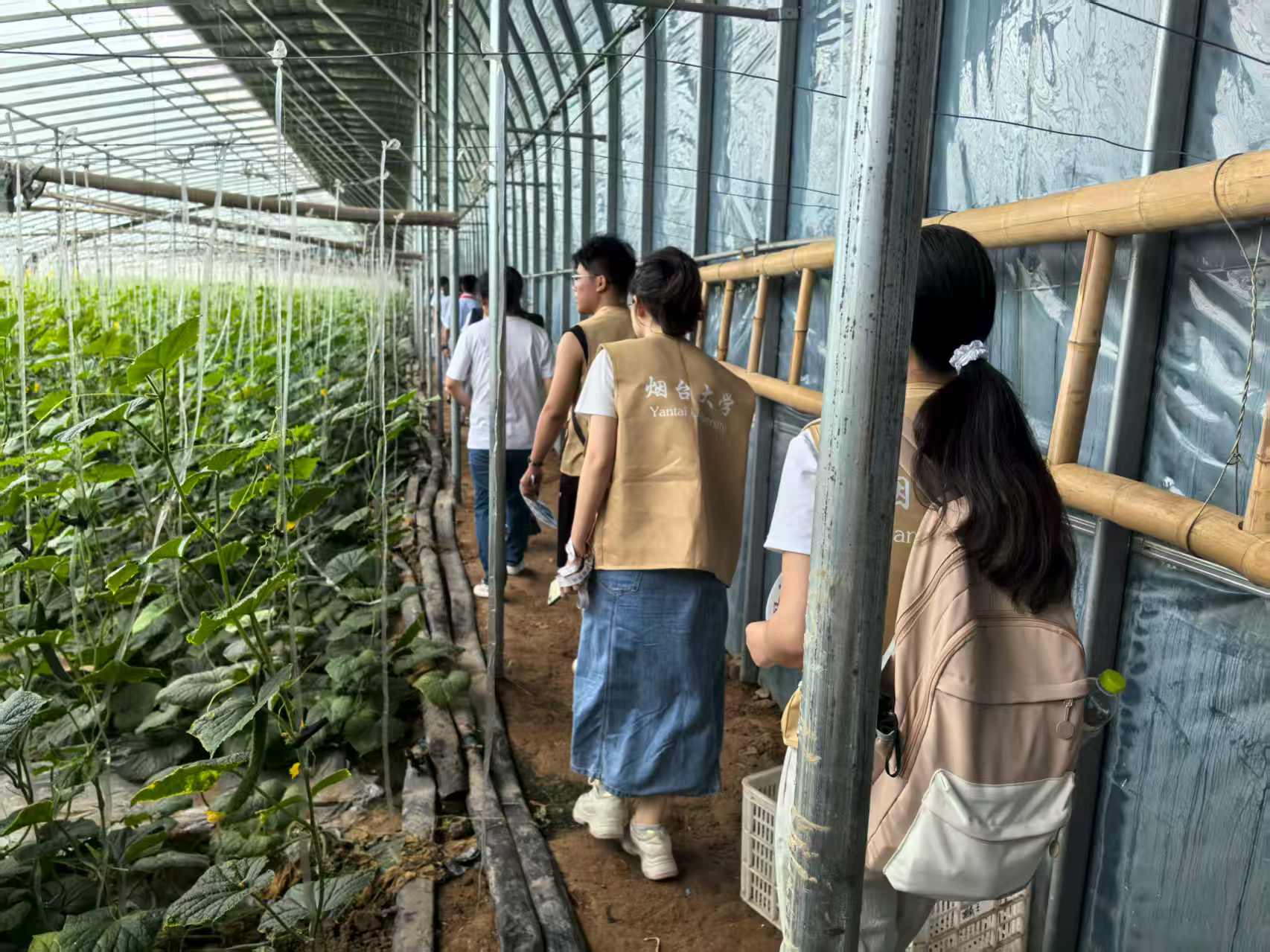 ���_��W�S���ʡ��뺣�����`꠸������𲽅^(q��)�_չ�{�ЌW��